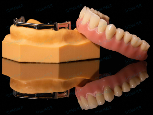 PFM Crown & Bridge