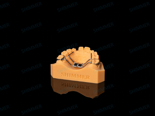 Sports Mouthguard